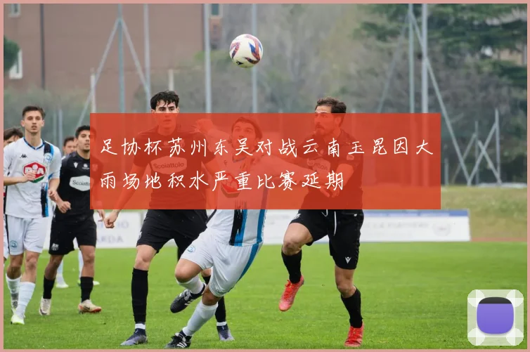 足协杯苏州东吴对战云南玉昆因大雨场地积水严重比赛延期