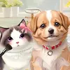 Pet-Salon